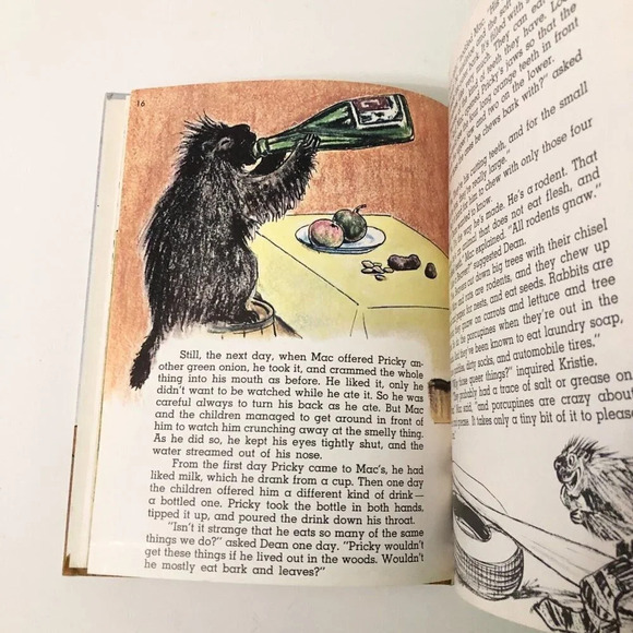 Vtg 1970 Pricky A Pet Porcupine Book Elizabeth Greenleaf Oddo - Picture 13 of 16